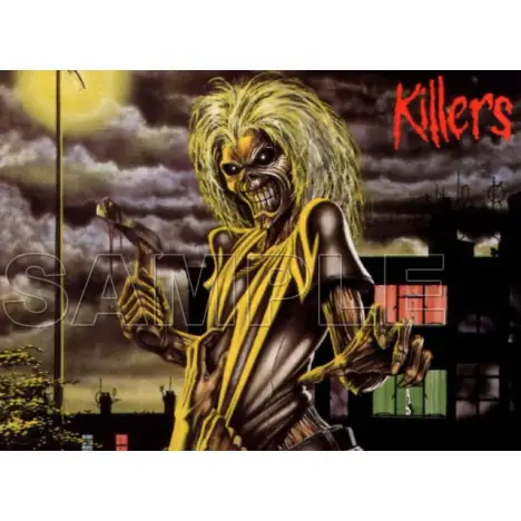 Iron Maiden T Shirt Iron on Transfer  Decal  #1