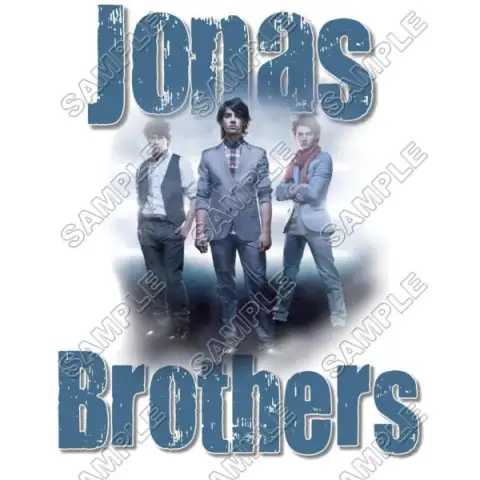 Jonas Brothers T Shirt Iron on Transfer Decal #4 Jonas Brothers T Shirt Iron on Transfer Decal #4