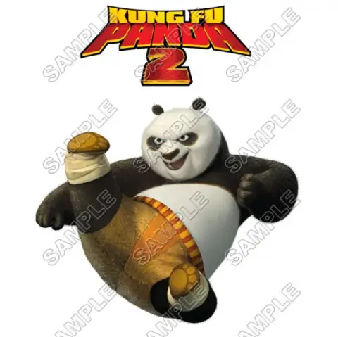 Kung Fu Panda  T Shirt Iron on Transfer Decal #4
