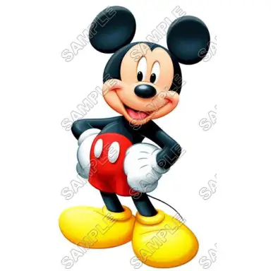 Mickey Mouse T Shirt Iron on Transfer Decal #20 Mickey Mouse T Shirt Iron on Transfer Decal #20