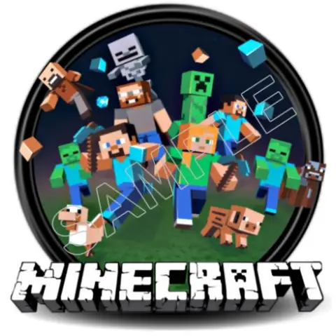 Minecraft  T Shirt Iron on Transfer  Decal  #16