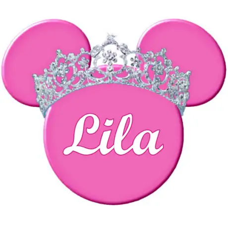 Disney Vacation  Minnie Mouse  Personalized  Custom  T Shirt Iron on Transfer Decal #25