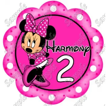 Minnie Mouse Birthday Party  Custom Personalized  T Shirt Iron on Transfer Decal 