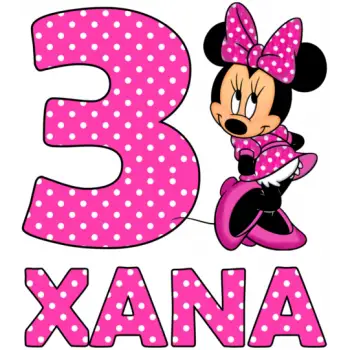 Minnie Mouse Pink  Birthday   Personalized   T Shirt Iron on Transfer #17