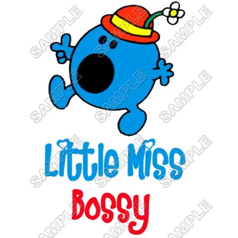 Mr Men and Little Miss Bossy T Shirt Iron on Transfer Decal #38 Mr Men and Little Miss Bossy T Shirt Iron on Transfer Decal #38