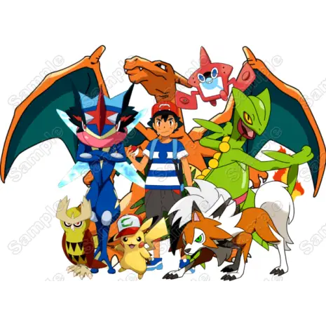 Pokemon Group T Shirt Iron on Transfer Decal Pokemon Group T Shirt Iron on Transfer Decal