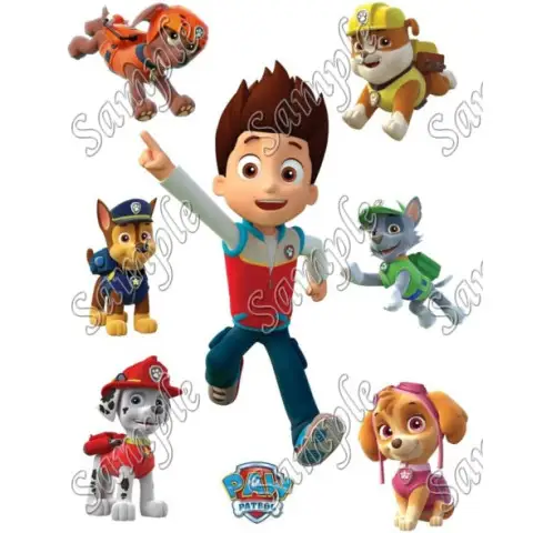 PAW Patrol T Shirt Iron on Transfer Decal #37 PAW Patrol T Shirt Iron on Transfer Decal #37