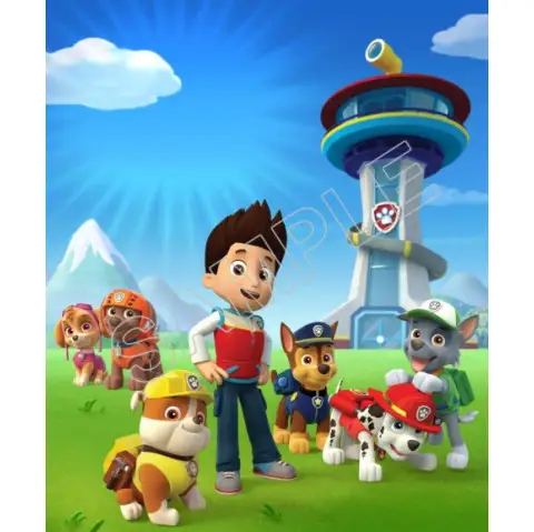 Paw Patrol T Shirt Iron on Transfer  Decal  #74