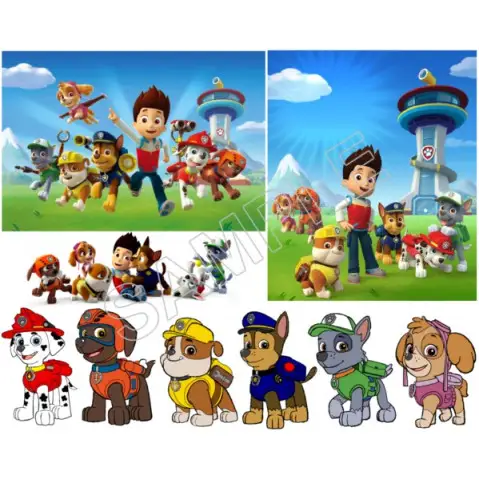 Paw Patrol T Shirt Iron on Transfer  Decal  #79