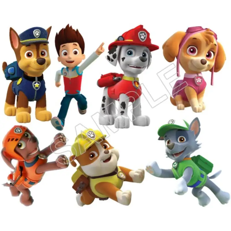 Paw Patrol T Shirt Iron on Transfer  Decal  #80