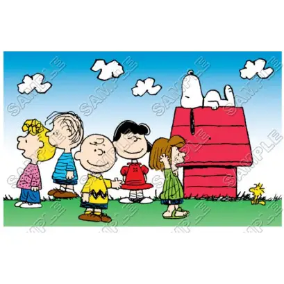 Peanuts, Snoopy, Charlie Brown T Shirt Iron on Transfer Decal #14 Peanuts, Snoopy, Charlie Brown T Shirt Iron on Transfer Decal #14