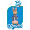Peter Rabbit  Personalized  Custom  T Shirt Iron on Transfer Decal #1