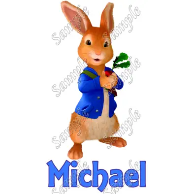 Peter Rabbit Personalized Custom T Shirt Iron on Transfer Decal #2 Peter Rabbit Personalized Custom T Shirt Iron on Transfer Decal #2