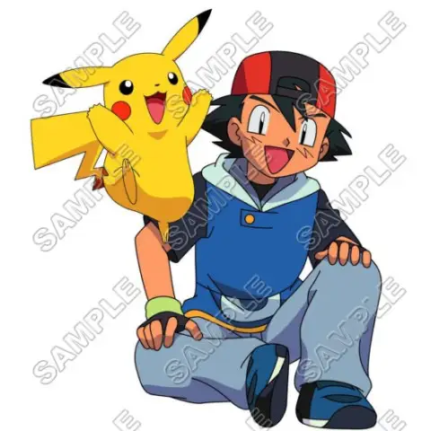 Pokemon T Shirt Iron on Transfer Decal #1 Pokemon T Shirt Iron on Transfer Decal #1