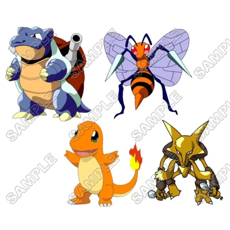 Pokemon T Shirt Iron on Transfer Decal #19 Pokemon T Shirt Iron on Transfer Decal #19