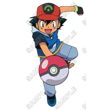 Pokemon  T Shirt Iron on Transfer Decal #3