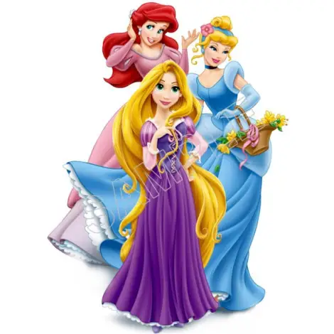 Rapunzel  Ariel Princess T Shirt Iron on Transfer Decal #57