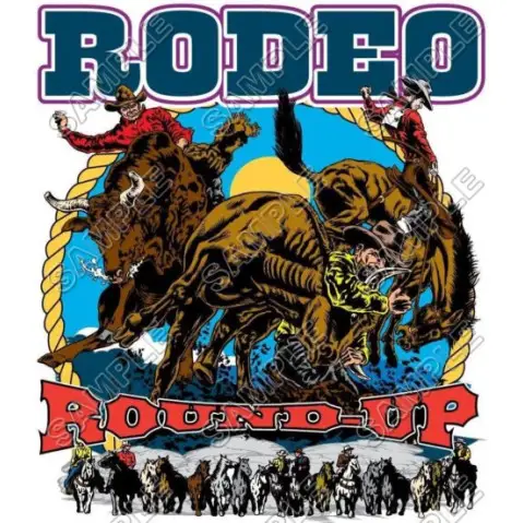 Rodeo T Shirt Iron on Transfer Decal #3
