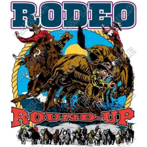 Rodeo T Shirt Iron on Transfer Decal #3 Rodeo T Shirt Iron on Transfer Decal #3