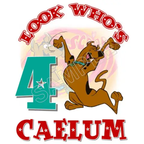 Scooby Doo Birthday Personalized Custom T Shirt Iron on Transfer Decal #44 Scooby Doo Birthday Personalized Custom T Shirt Iron on Transfer Decal #44