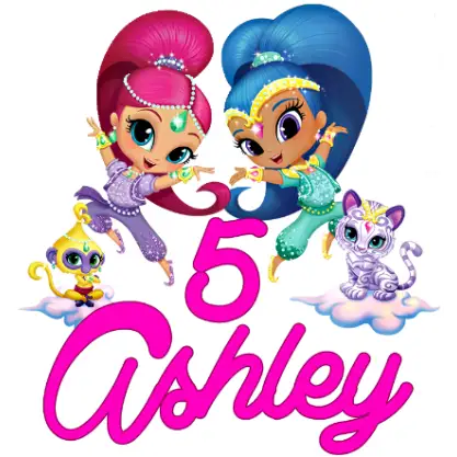 Shimmer and Shine Personalized Custom T Shirt Iron on Transfer Decal #1 Shimmer and Shine Personalized Custom T Shirt Iron on Transfer Decal #1