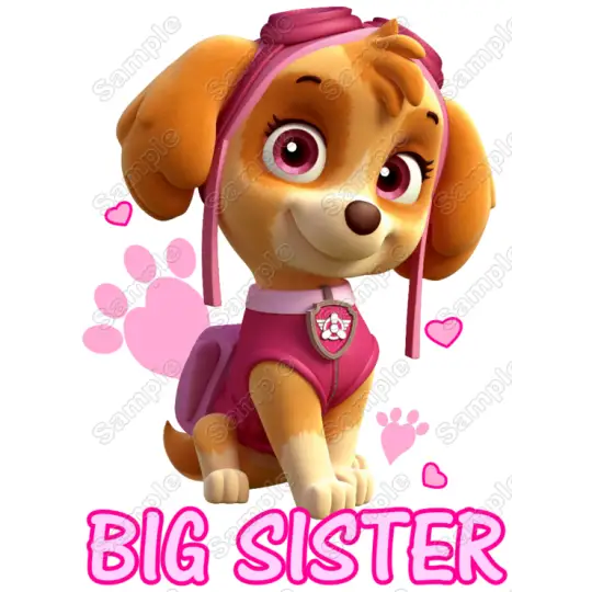 PAW Patrol Sky Big Sister T Shirt Iron on Transfer Decal PAW Patrol Sky Big Sister T Shirt Iron on Transfer Decal