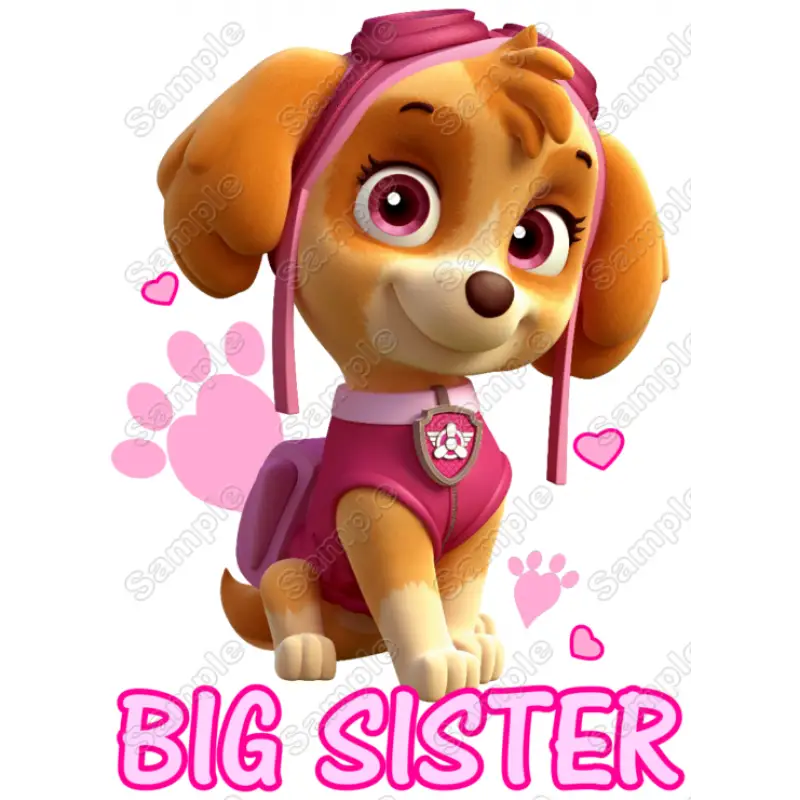 PAW Patrol Sky Big Sister T Shirt Iron on Transfer Decal PAW Patrol Sky Big Sister T Shirt Iron on Transfer Decal