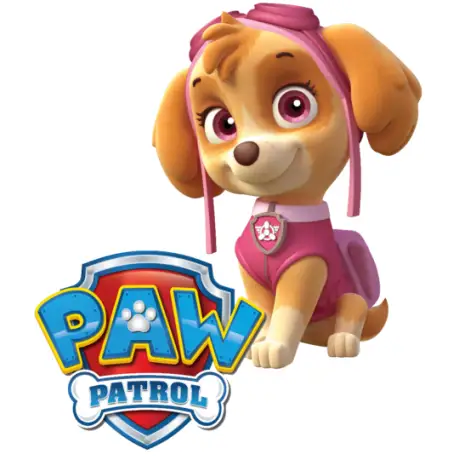 PAW Patrol Skye T Shirt Iron on Transfer Decal #85 PAW Patrol Skye T Shirt Iron on Transfer Decal #85