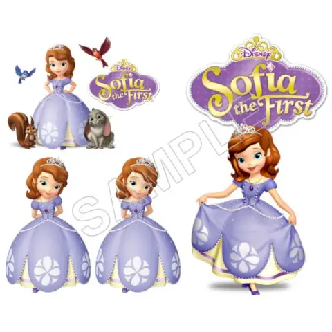 Sofia The First Game T Shirt Iron on Transfer Decal #1 Sofia The First Game T Shirt Iron on Transfer Decal #1