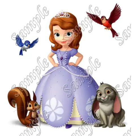 Sofia the First Princess T Shirt Iron on Transfer Decal #15 Sofia the First Princess T Shirt Iron on Transfer Decal #15
