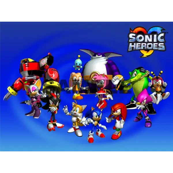 Sonic Heroes T Shirt Iron on Transfer Decal #48 Sonic Heroes T Shirt Iron on Transfer Decal #48