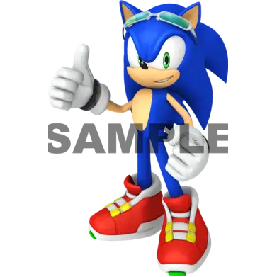 Sonic Rider T Shirt Iron on Transfer Decal #23 Sonic Rider T Shirt Iron on Transfer Decal #23