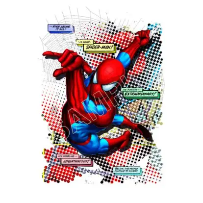 Spider - Man T Shirt Iron on Transfer Decal #8 Spider - Man T Shirt Iron on Transfer Decal #8