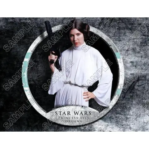 Star Wars Princess Leia T Shirt Iron on Transfer Decal #23 Star Wars Princess Leia T Shirt Iron on Transfer Decal #23