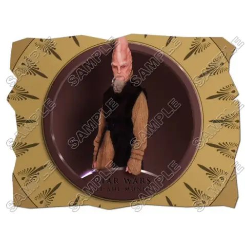 Star Wars T Shirt Iron on Transfer Decal #22