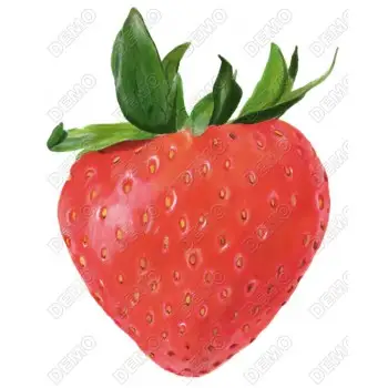 Strawberry T Shirt Heat Iron on Transfer  Decal  