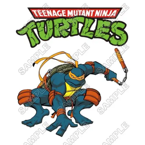 Teenage Mutant Ninja Turtles T Shirt Iron on Transfer Decal #2 Teenage Mutant Ninja Turtles T Shirt Iron on Transfer Decal #2