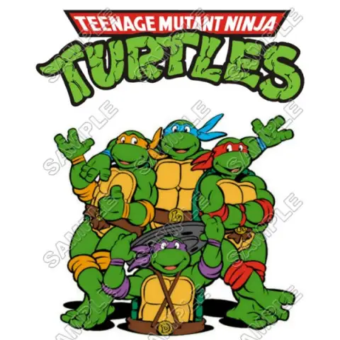 Teenage Mutant Ninja Turtles T Shirt Iron on Transfer Decal #6 Teenage Mutant Ninja Turtles T Shirt Iron on Transfer Decal #6