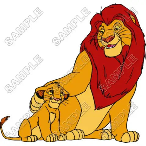 The Lion King  T Shirt Iron on Transfer Decal #6