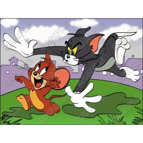 Tom and Jerry T Shirt Iron on Transfer Decal #22