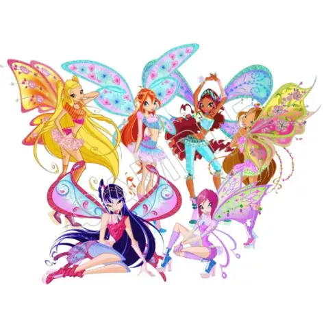 Winx Club  Fairy T Shirt Iron on Transfer Decal #95