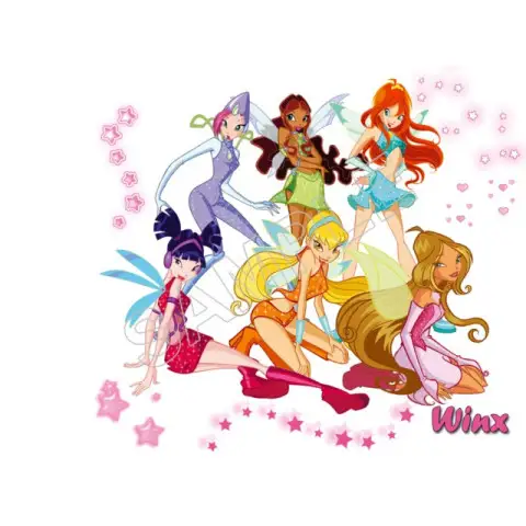 Winx Club Fairy T Shirt Iron on Transfer Decal #97 Winx Club Fairy T Shirt Iron on Transfer Decal #97