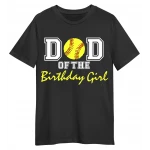  Softball  Birthday Boy  T Shirt Heat  Iron on Transfer Decal   by www.shopironons.com