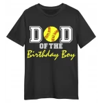  Softball  Birthday Boy  T Shirt Heat  Iron on Transfer Decal   by www.shopironons.com