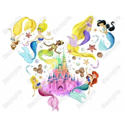 Magic Kingdom Disney Princess Heat Iron on Transfer Decal by www.shopironons.com