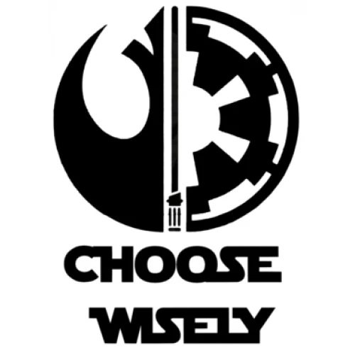 Choose Wisely Star Wars  Iron On Transfer Vinyl HTV  by www.shopironons.com