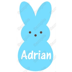Easter Bunny for Boys  Custom Name Iron on Transfer