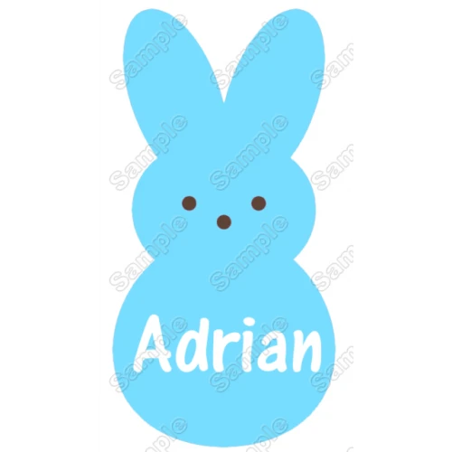 Easter Bunny for Boys  Custom Name Iron on Transfer by www.shopironons.com