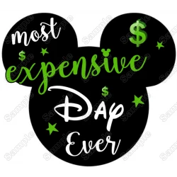 Most Expensive Day  Ever Disney  Vacation  Mickey Mouse T shirt Iron on Transfer