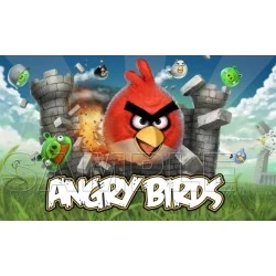 Angry Birds T Shirt Iron on Transfer  Decal  #4